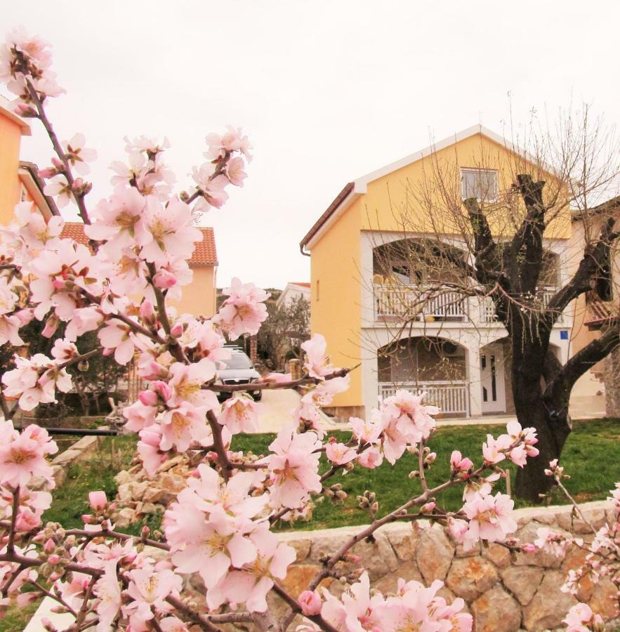 Apartmani Mala Sirena Maslenica Exterior photo